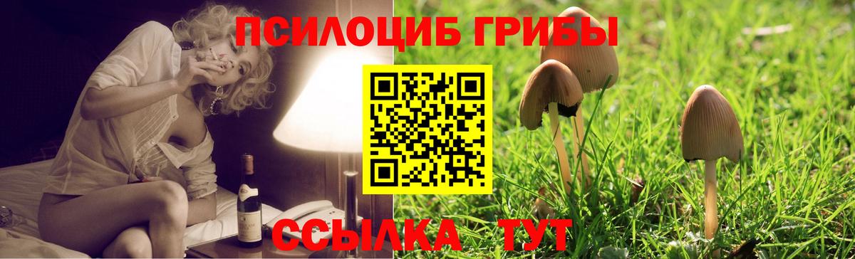 Галлюциногенные грибы мицелий Избербаш
